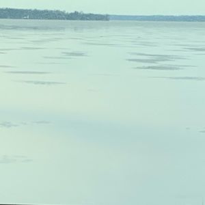 Meet your Posher, Bailey